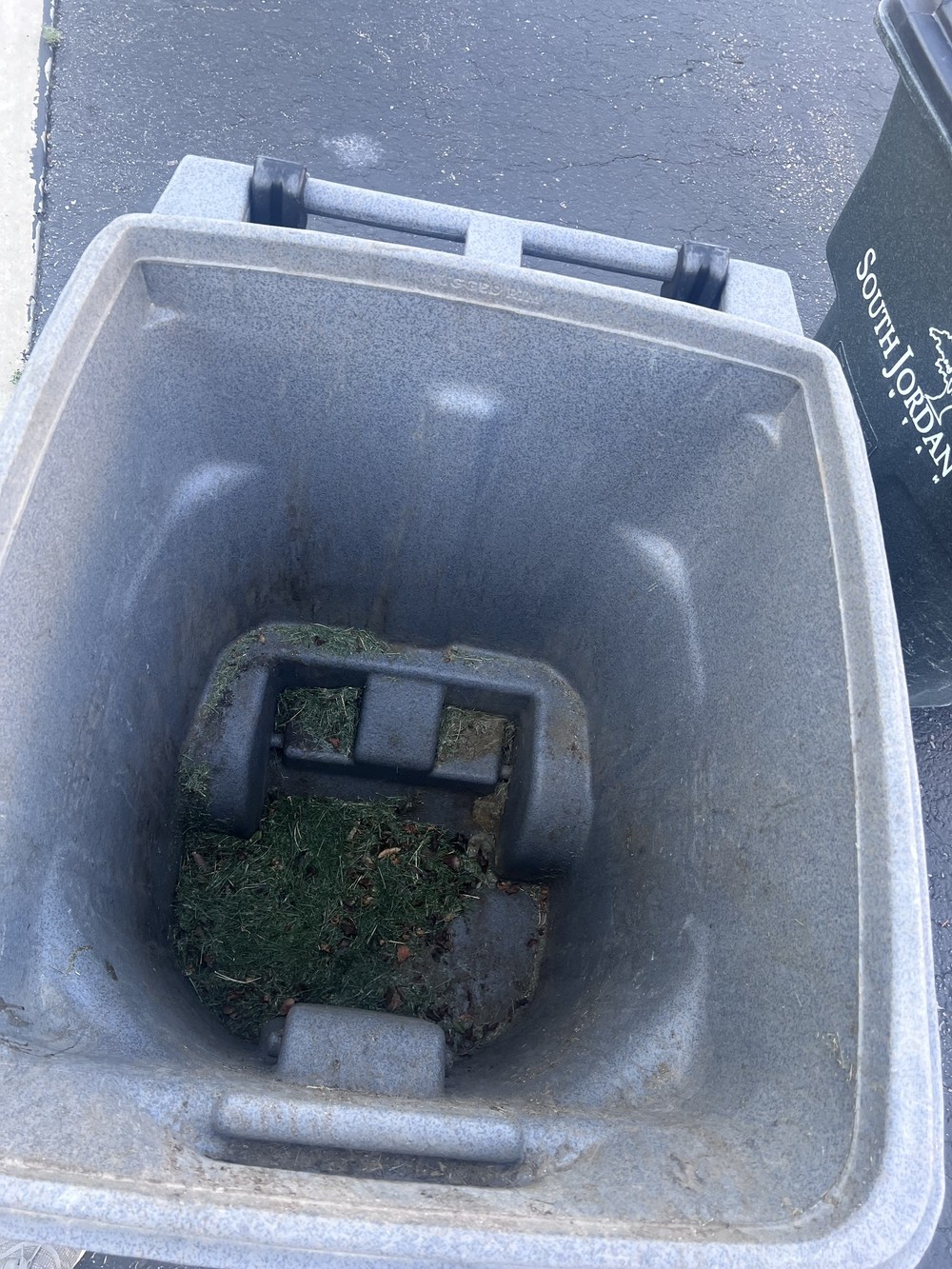 Dirty trash bin before professional washing